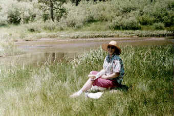 Cecelia restinii, Brown family